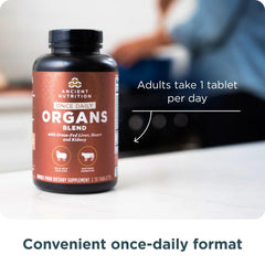 Ancient Nutrition Organ Complex capsules in hand suggesting simple daily dosage.