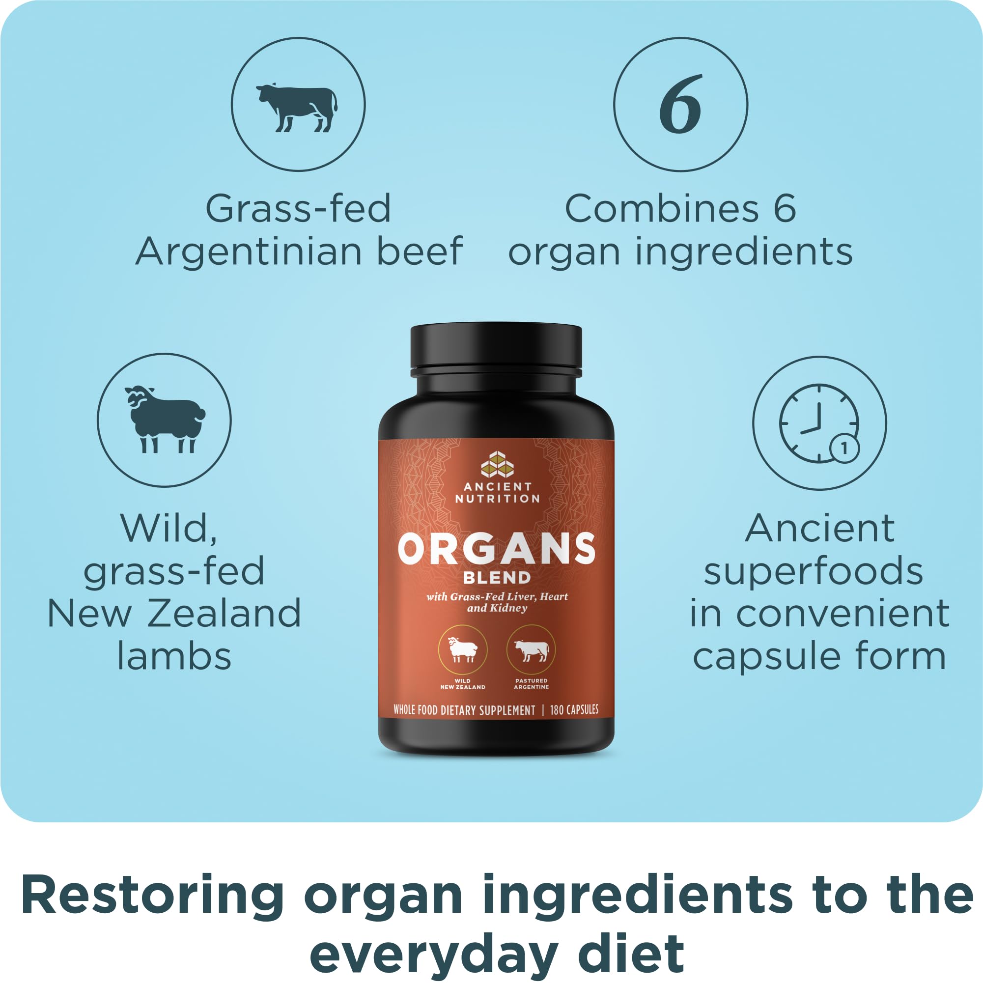 Ancient Nutrition Organ Supplements capsules close-up highlighting easy-to-absorb nutrients from grass-fed and wild sources