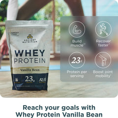 Ancient Nutrition regenerative A2/A2 milk protein tub designed for gentle digestion.