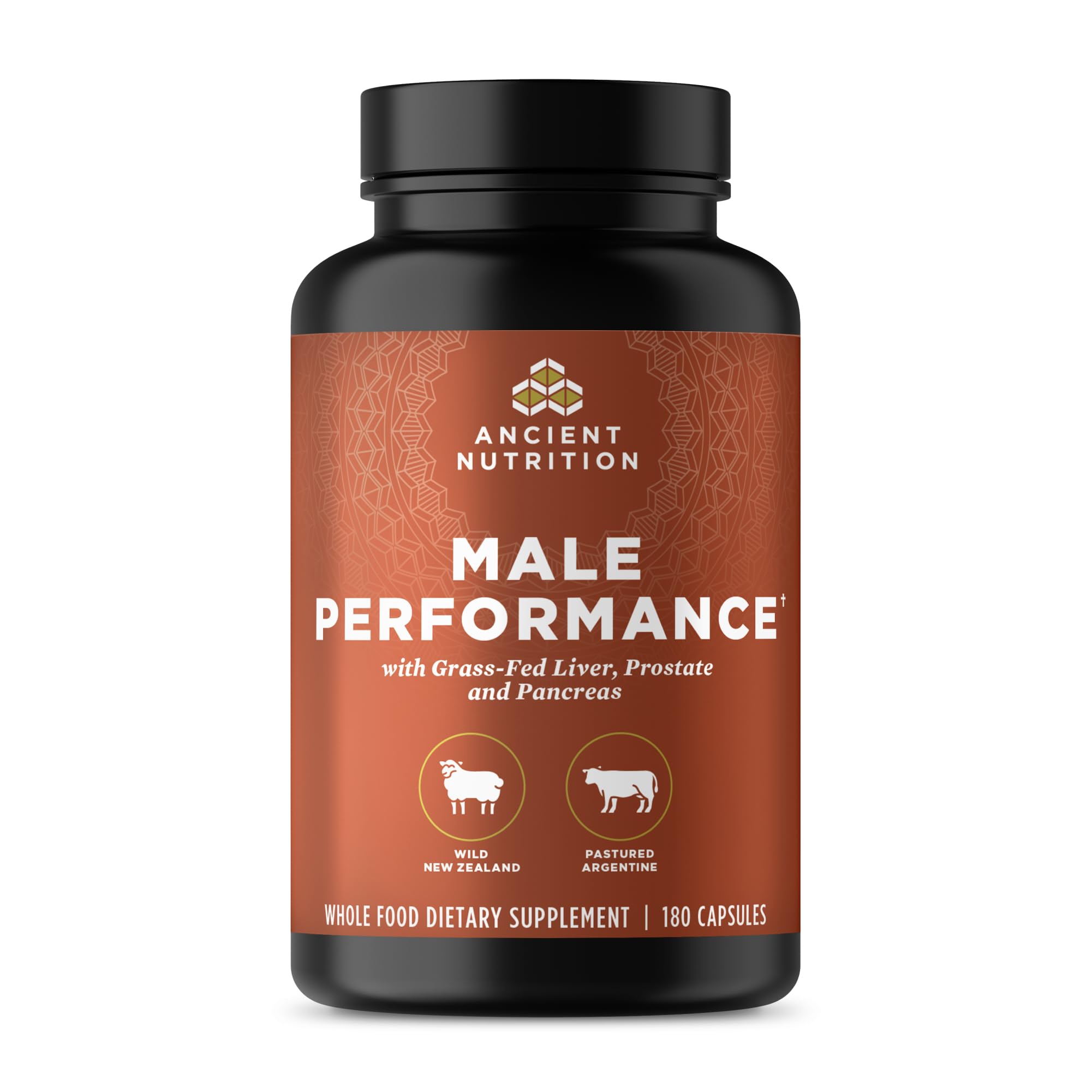 Ancient Nutrition Organs Complex bottle front for daily vitality support.