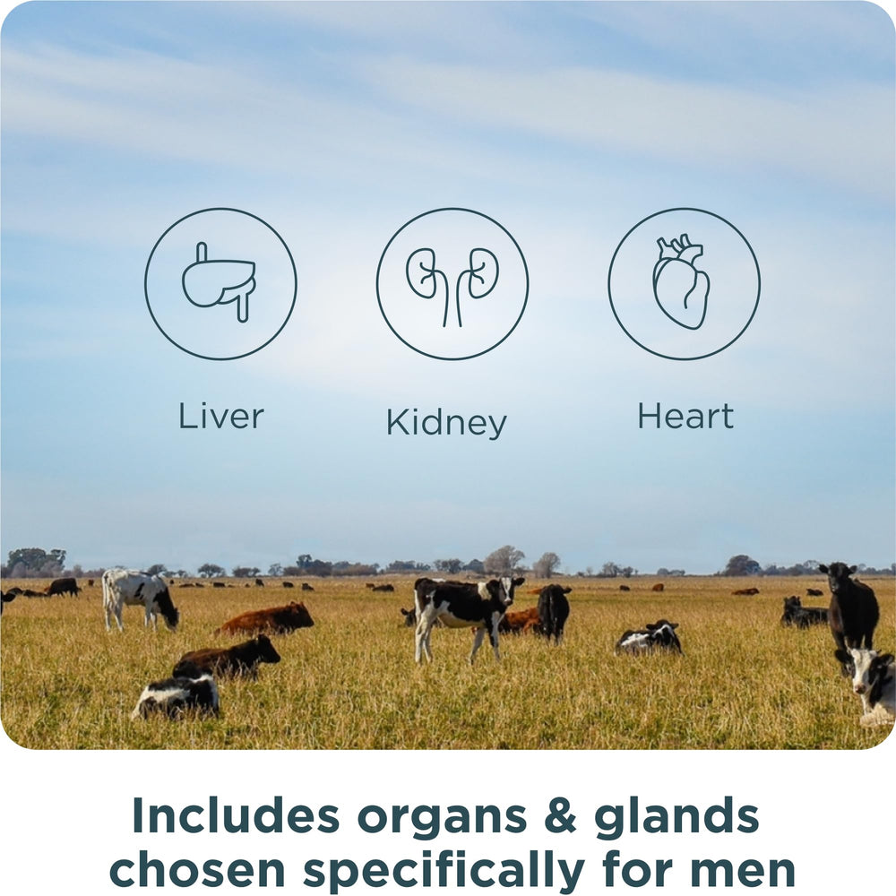 Ancient Nutrition Organs Complex Argentina grass-fed origin highlights premium organ sources.