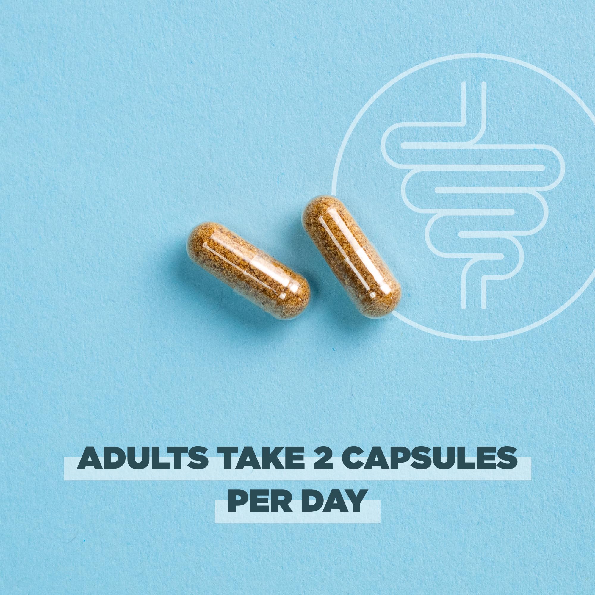 Ancient Nutrition prebiotics-postbiotics synergy image promotes holistic gut wellness.