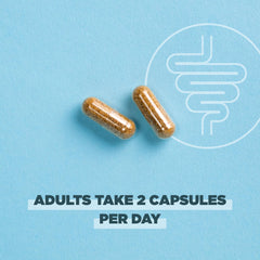 Ancient Nutrition prebiotics-postbiotics synergy image promotes holistic gut wellness.