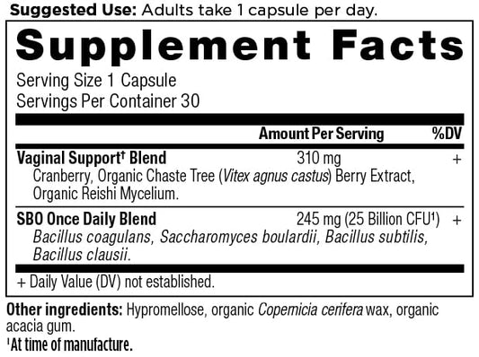 Ancient Nutrition probioticos, capsula: formato fácil para equilibrio intestinal y vaginal