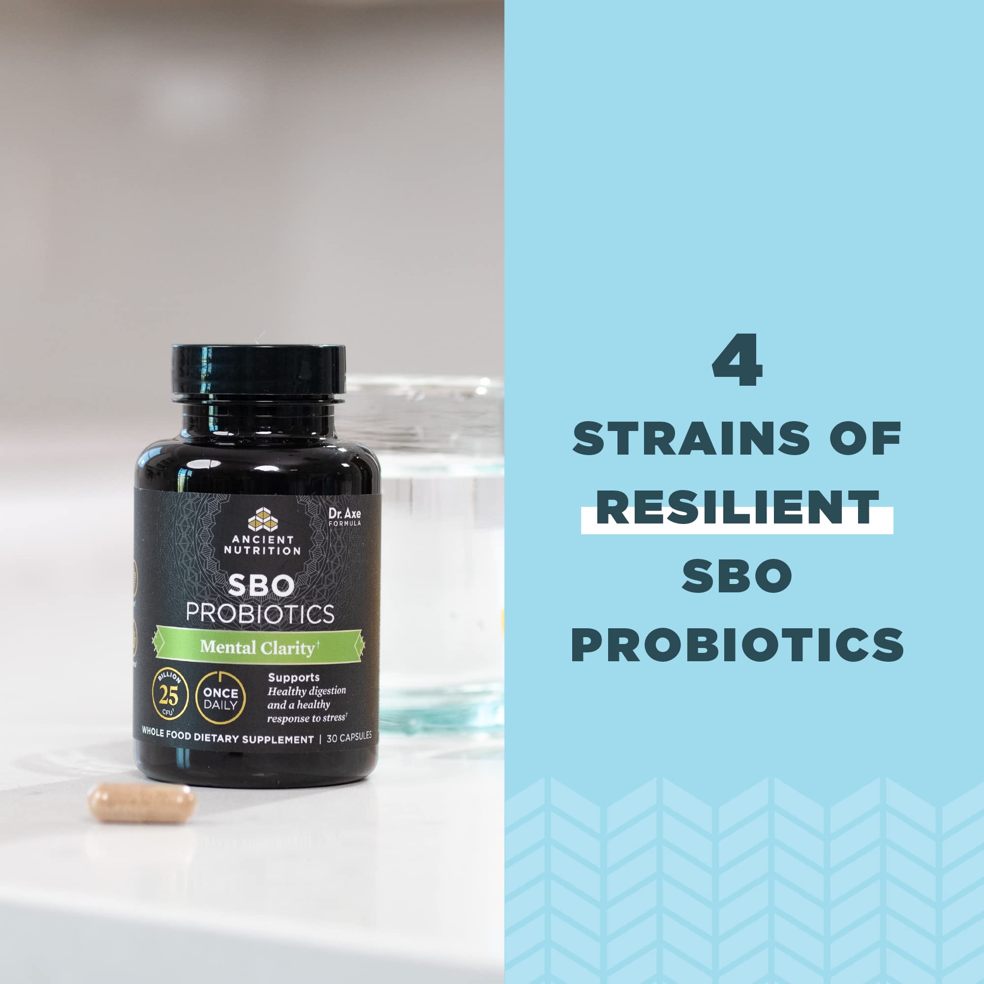 Ancient Nutrition Probiotics bottle on desk for daily routine.