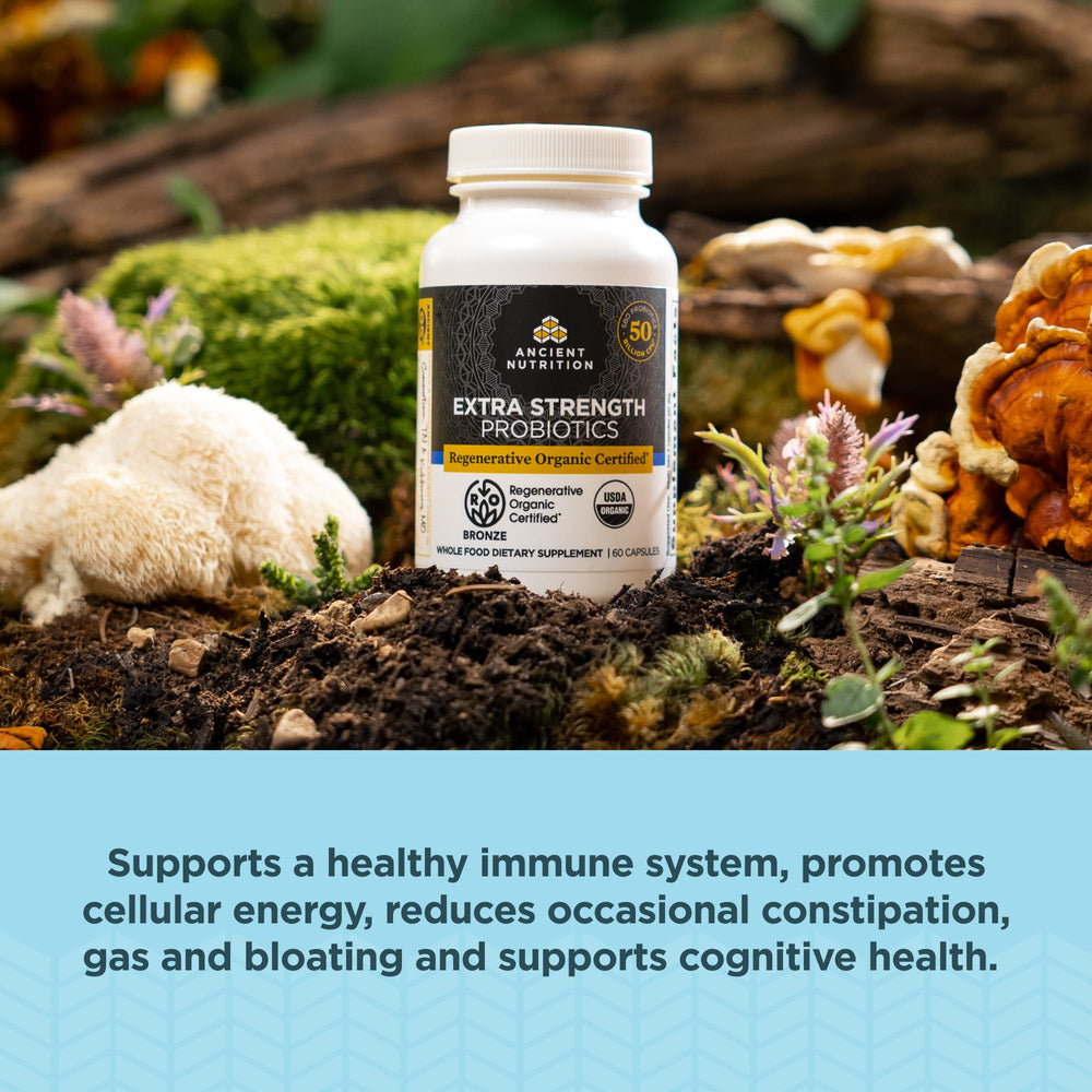 Ancient Nutrition probiotics capsules on counter for daily routine.