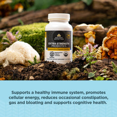 Ancient Nutrition probiotics capsules on counter for daily routine.