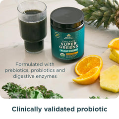 Ancient Nutrition probiotics and digestive enzymes illustration for gut support