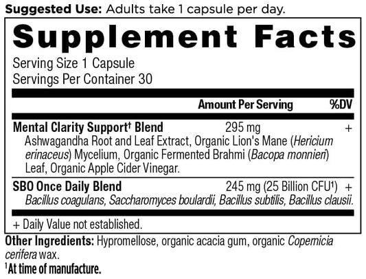 Ancient Nutrition Probiotics capsules close-up for daily clarity support and energy.