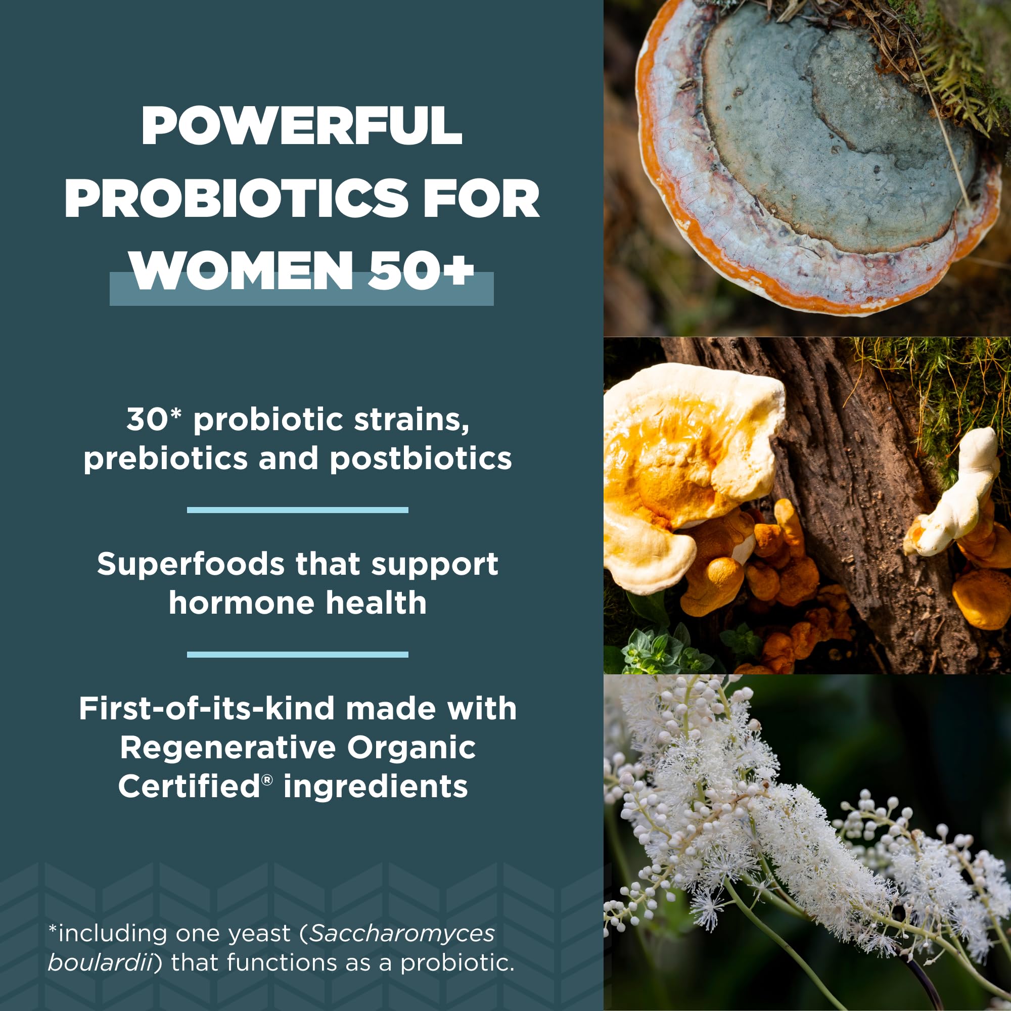 Ancient Nutrition Regenerative Organic Probiotics 50+ bottle with a glass suggesting daily routine