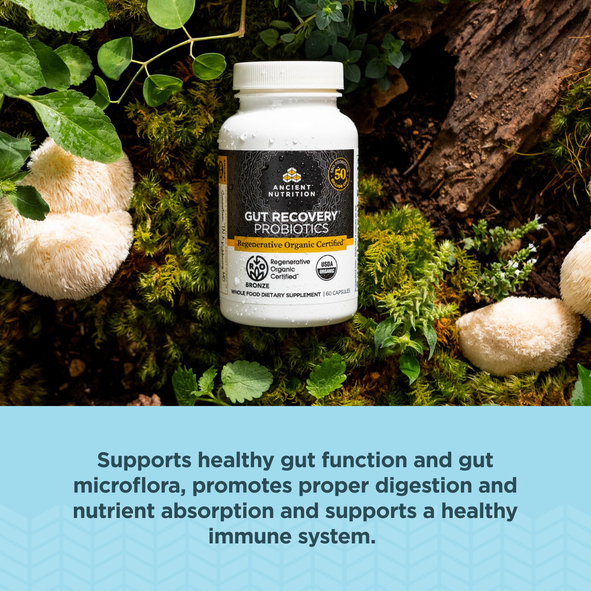 Ancient Nutrition sbo-lab-probiotics highlight balanced gut microflora.