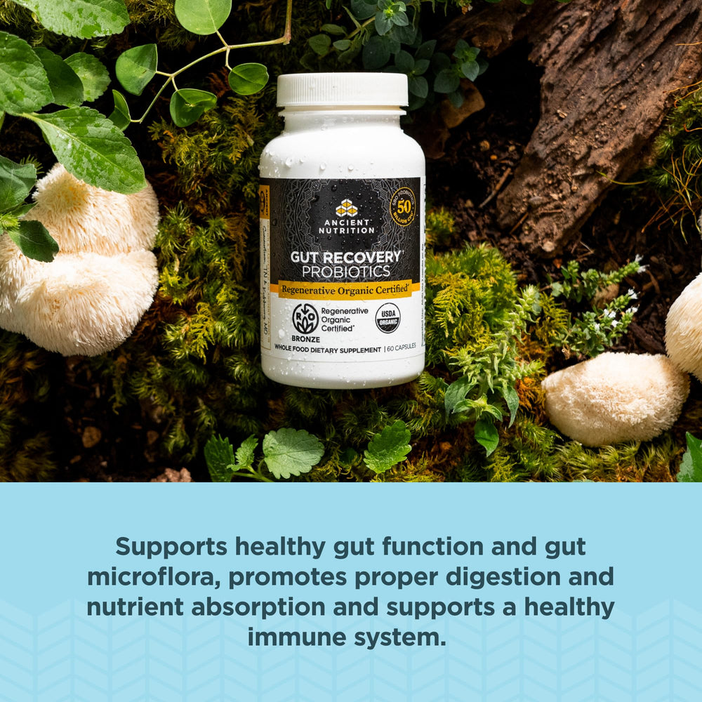Ancient Nutrition sbo-lab-probiotics highlight balanced gut microflora.
