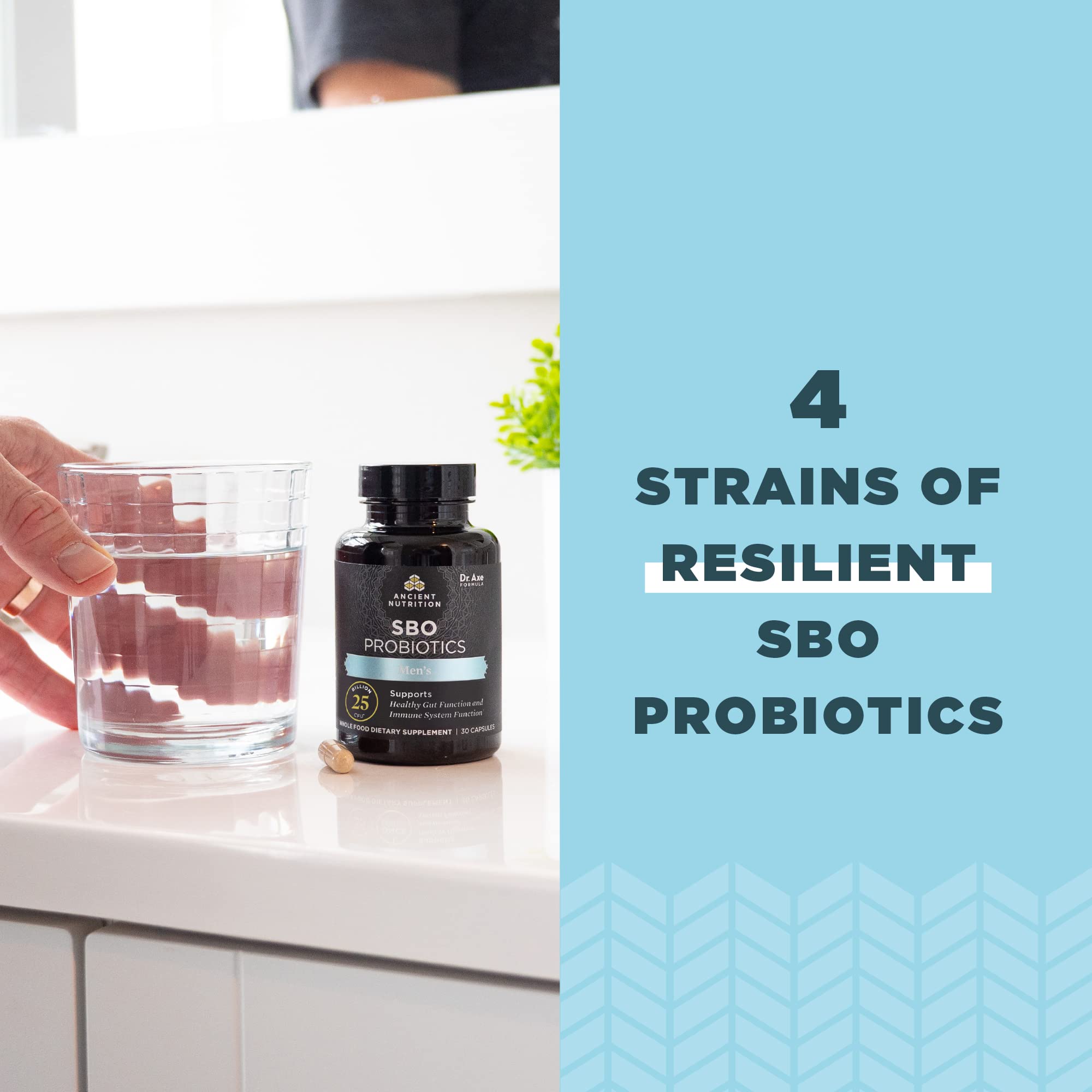 Ancient Nutrition SBO Probiotics for Men packaging and design