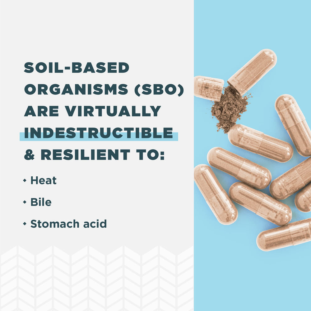 Ancient Nutrition third-party lab testing seal signals safety and quality in probiotic formula.