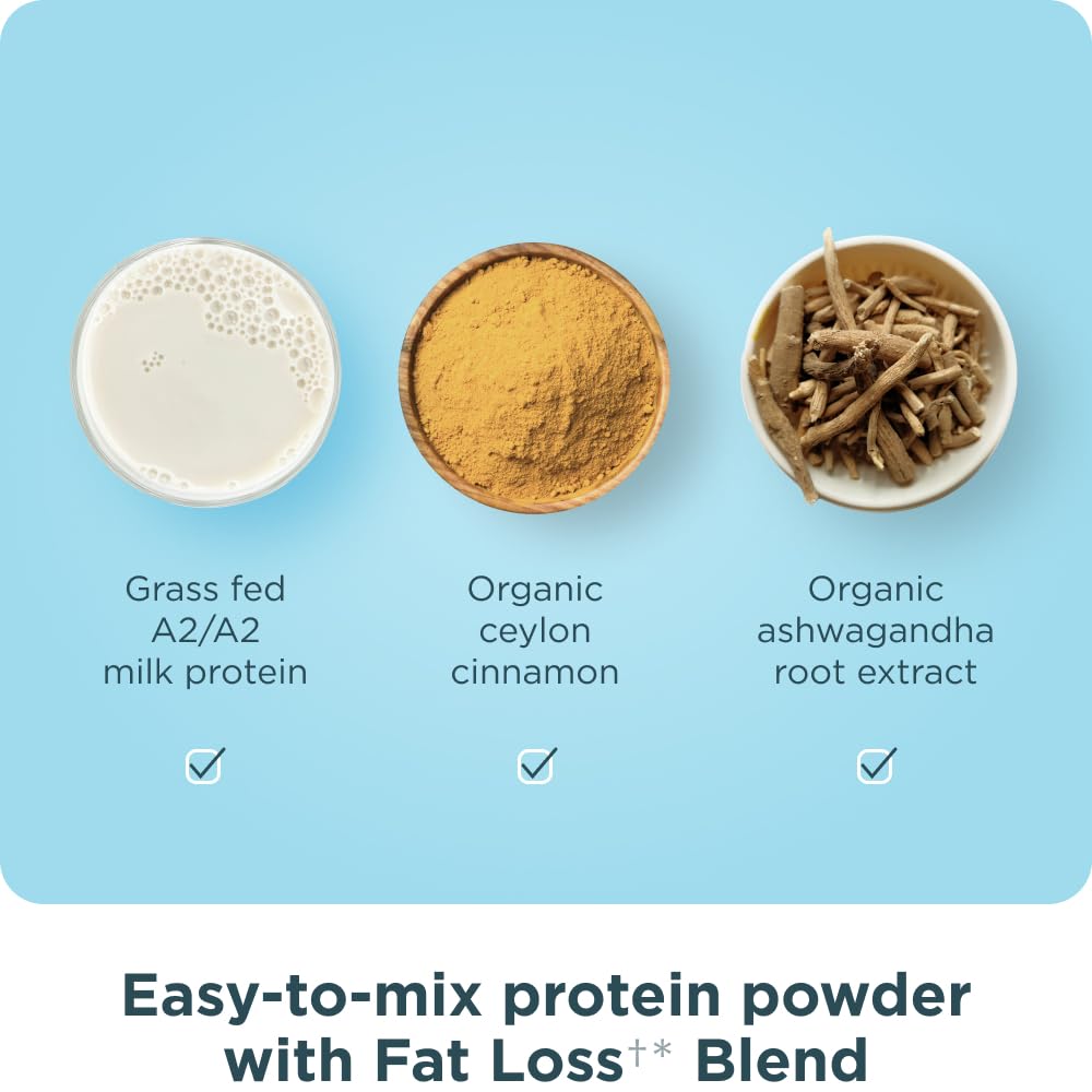 Vanilla Cinnamon shake prepared with Ancient Nutrition protein, viewed in a glass.