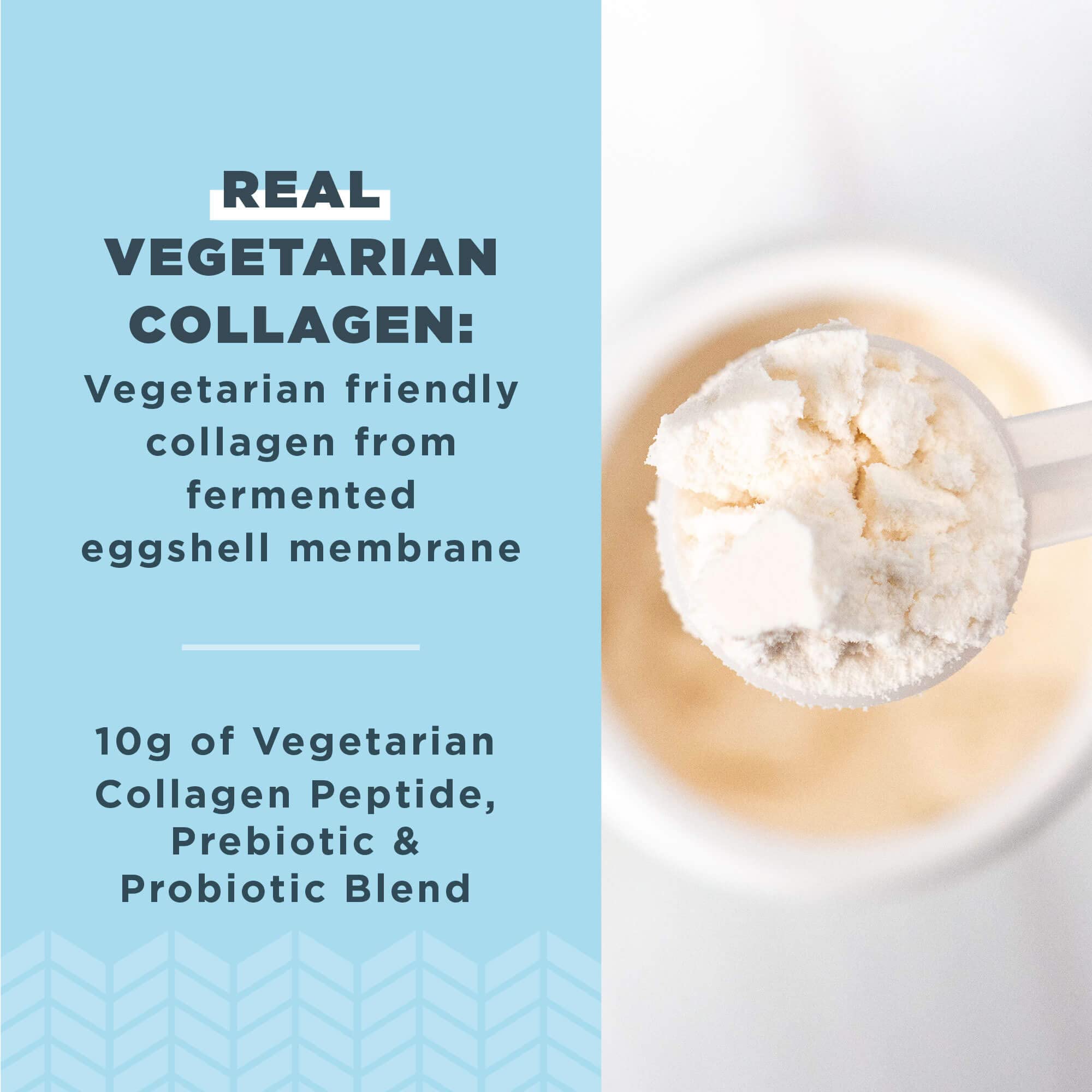 Ancient Nutrition Vegetarian Collagen Peptides powder scoop, ideal for smoothies.