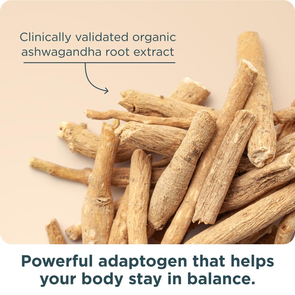 Ancient Nutrition packaging focuses on 30 servings per bottle for convenience.