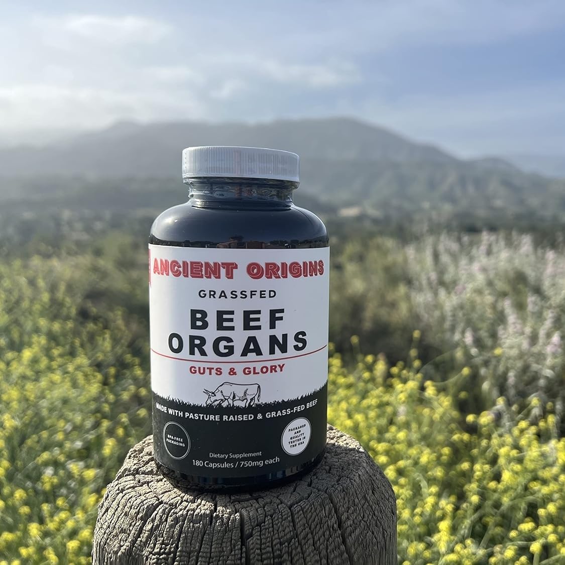 Ancient Origins Argentina pasture-sourced organs indicate natural origin