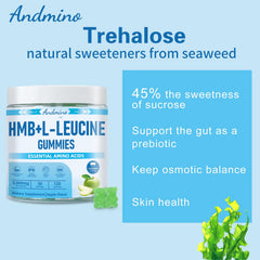 Andmino HMB Leucine Gummies close-up texture, pleasant pectin chew.