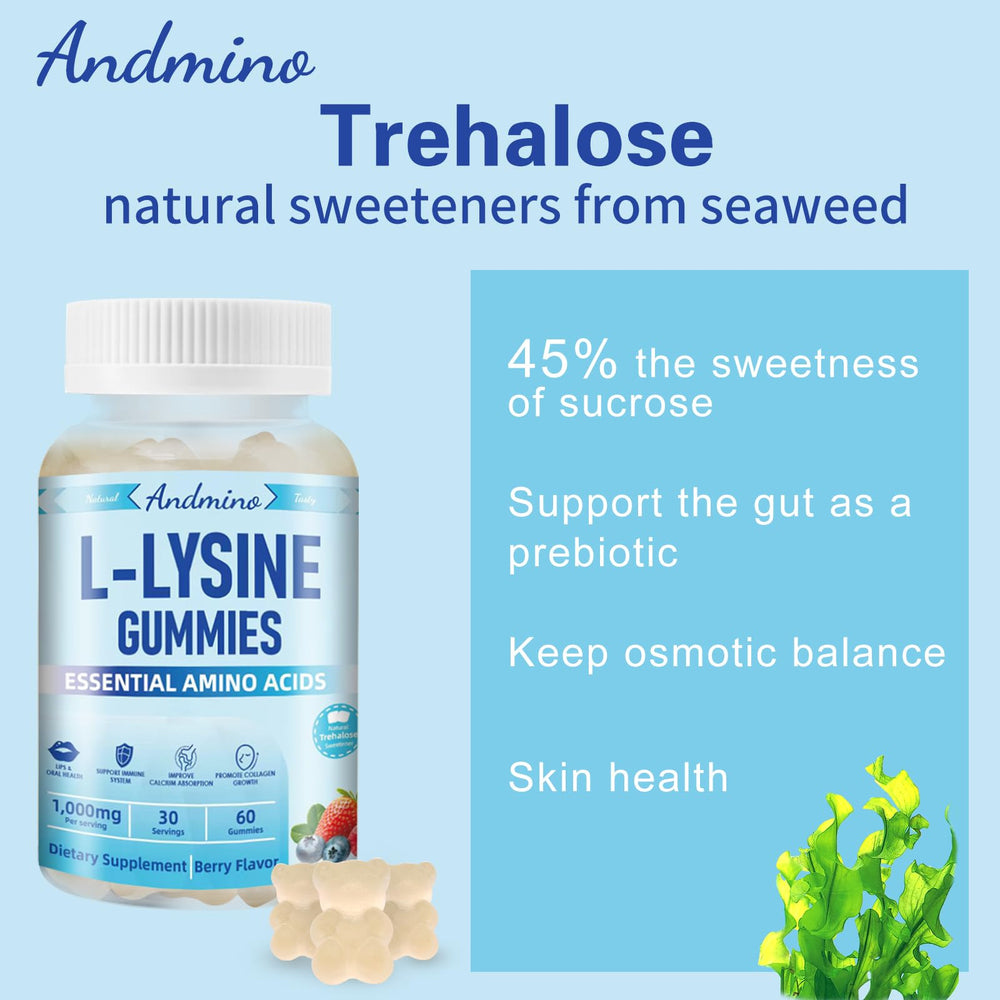 Andmino L-Lysine Gummies enjoyed by kids and adults for convenient intake.