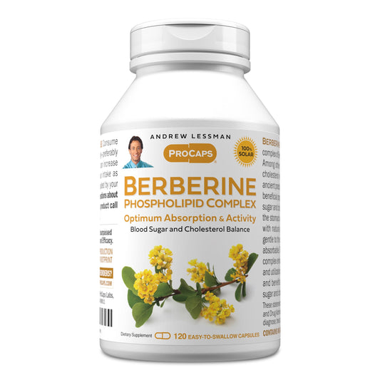 Andrew Lessman Berberine Phospholipid bottle showing packaging for lipid metabolism support.