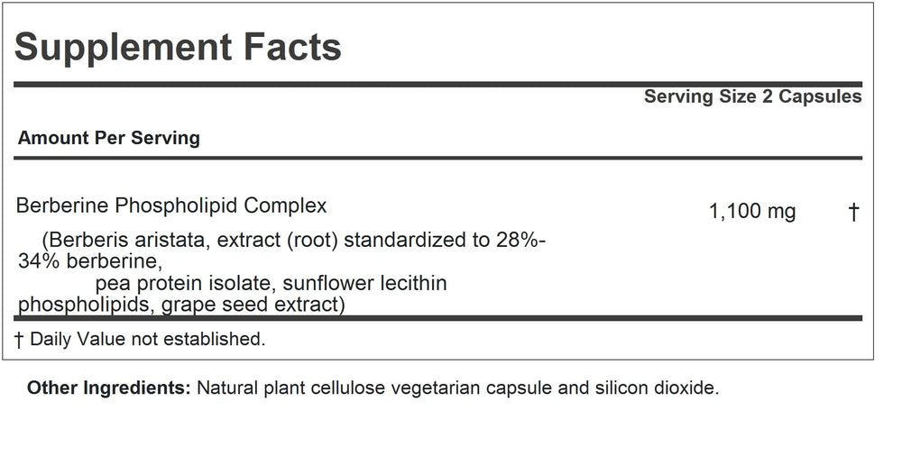 Andrew Lessman Berberine capsules close-up showing small easy-to-swallow pills