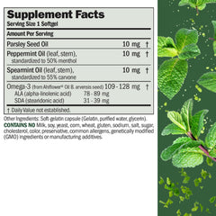 Breath Plus 360 packaging on desk showing peppermint and spearmint for odor control.