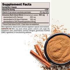 Andrew Lessman Cinnamon 400mg capsules closeup highlighting small, easy-to-swallow capsules
