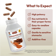 Andrew Lessman Cinnamon 400mg label highlights standardized cinnamon extracts