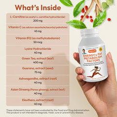 Andrew Lessman Energy and Fat Metabolism Factors label detail showing B-Complex and green tea extracts.