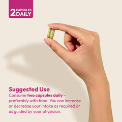 Non-acidic Vitamin C focus in Andrew Lessman Immune Factors 360 gentle on stomach