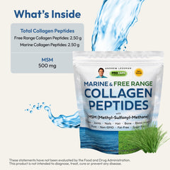 Andrew Lessman MSM powder bottle illustrating organic sulfur support for connective tissues