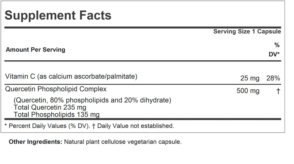 Andrew Lessman Quercetin 500mg capsules close-up emphasizing high-absorption phospholipid formula.