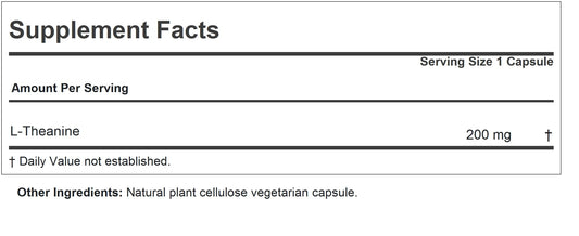 Close-up of ANDREW LESSMAN Theanine capsules for easy daily use.