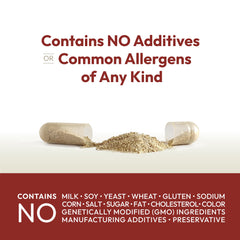Absorption-protected methylcobalamin in Andrew Lessman Vitamin B12 promotes steady daily energy.