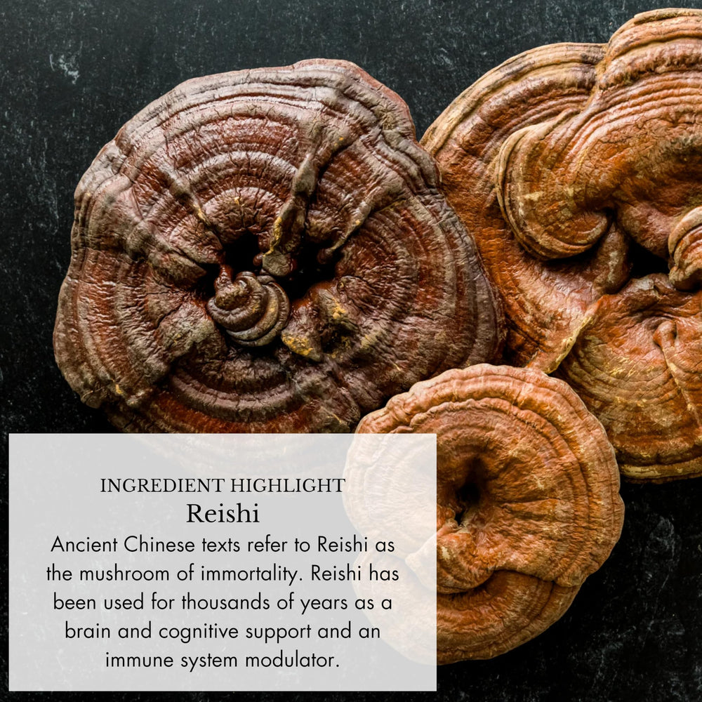 Anima Mundi Adaptogenic 7 Mushroom Drops bottle on wood surface highlighting premium ingredients.