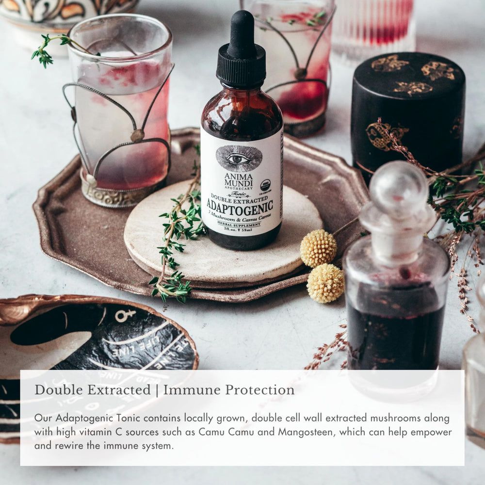Anima Mundi Adaptogenic 7 Mushroom Drops dropper releasing drops over glass.
