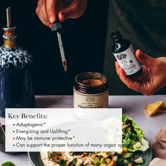Anima Mundi Adaptogenic 7 Mushroom Drops label closeup featuring Reishi and Lion’s Mane for immune-support insights.