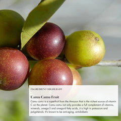 Anima Mundi Apothecary berry selection scene, showcasing natural fruit goodness.