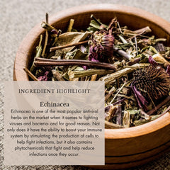 Boldo leaf detail from the herbal blend of the tonic.