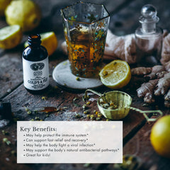 Close-up of fresh ginger root used in Anima Mundi Apothecary tonic for warmth.