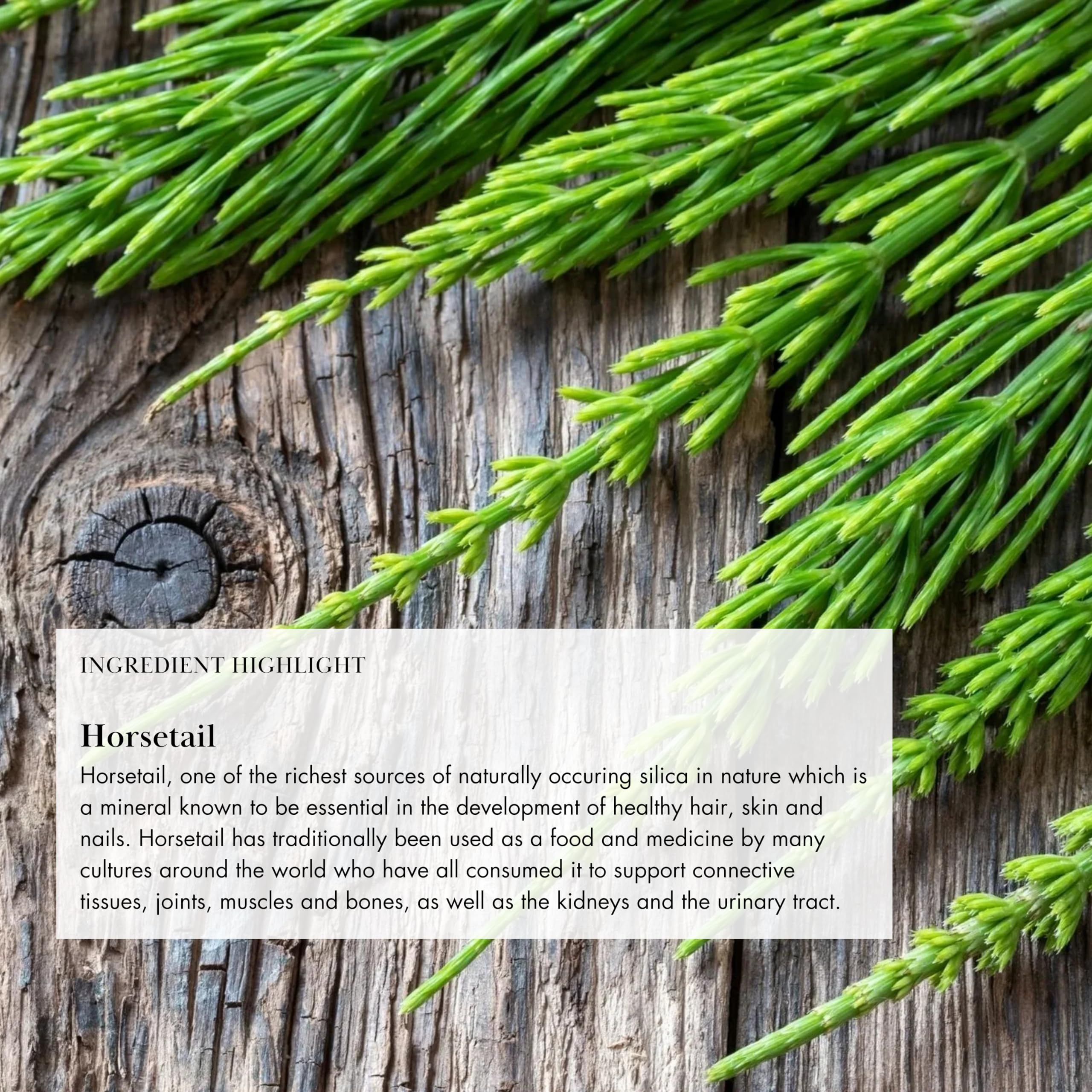 Cardamom and rose visuals highlight flavor notes in Anima Mundi blend.