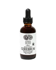 Anima Mundi Cerebrum bottle on wood inspires focused mental clarity during study.