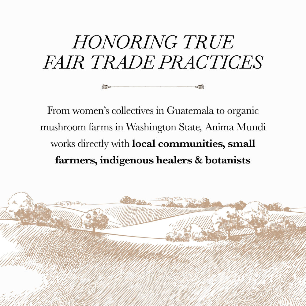 Anima Mundi Cerebrum bottle with label communicates ethical sourcing.