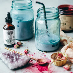 Anima Mundi Cerebrum bottle with dropper conveys ritual use for memory-friendly routines.