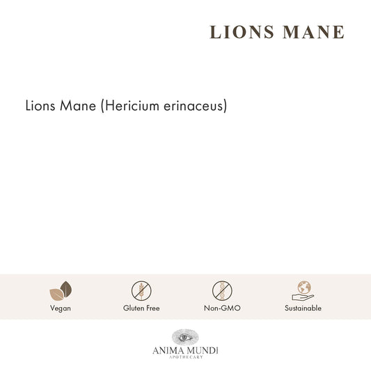 Scoop of Anima Mundi Lions Mane powder for easy portioning in smoothies
