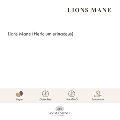 Scoop of Anima Mundi Lions Mane powder for easy portioning in smoothies