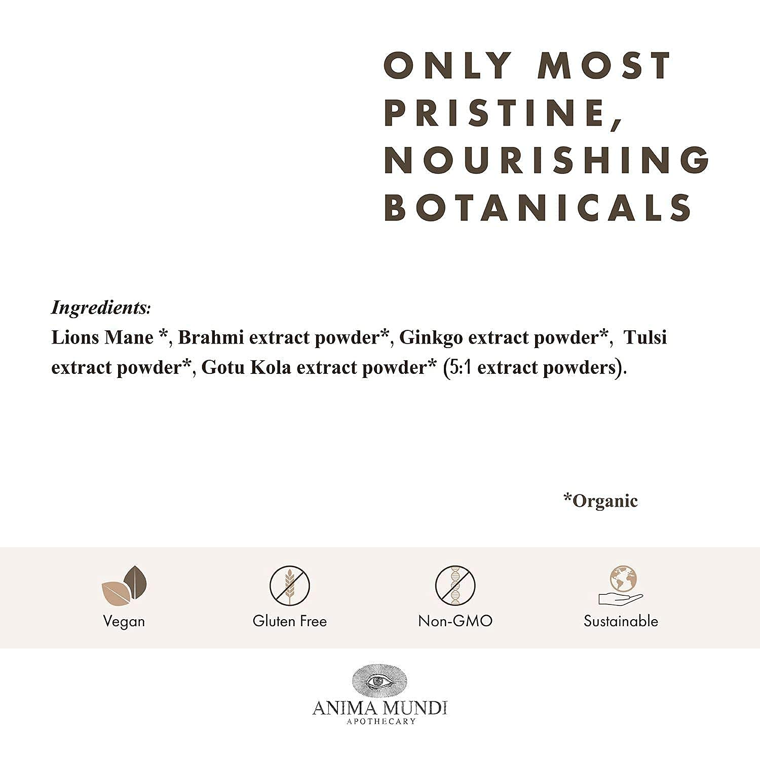 Anima Mundi Mind Energizing Brain Tonic gingko leaf closeup highlighting focus-support notes.
