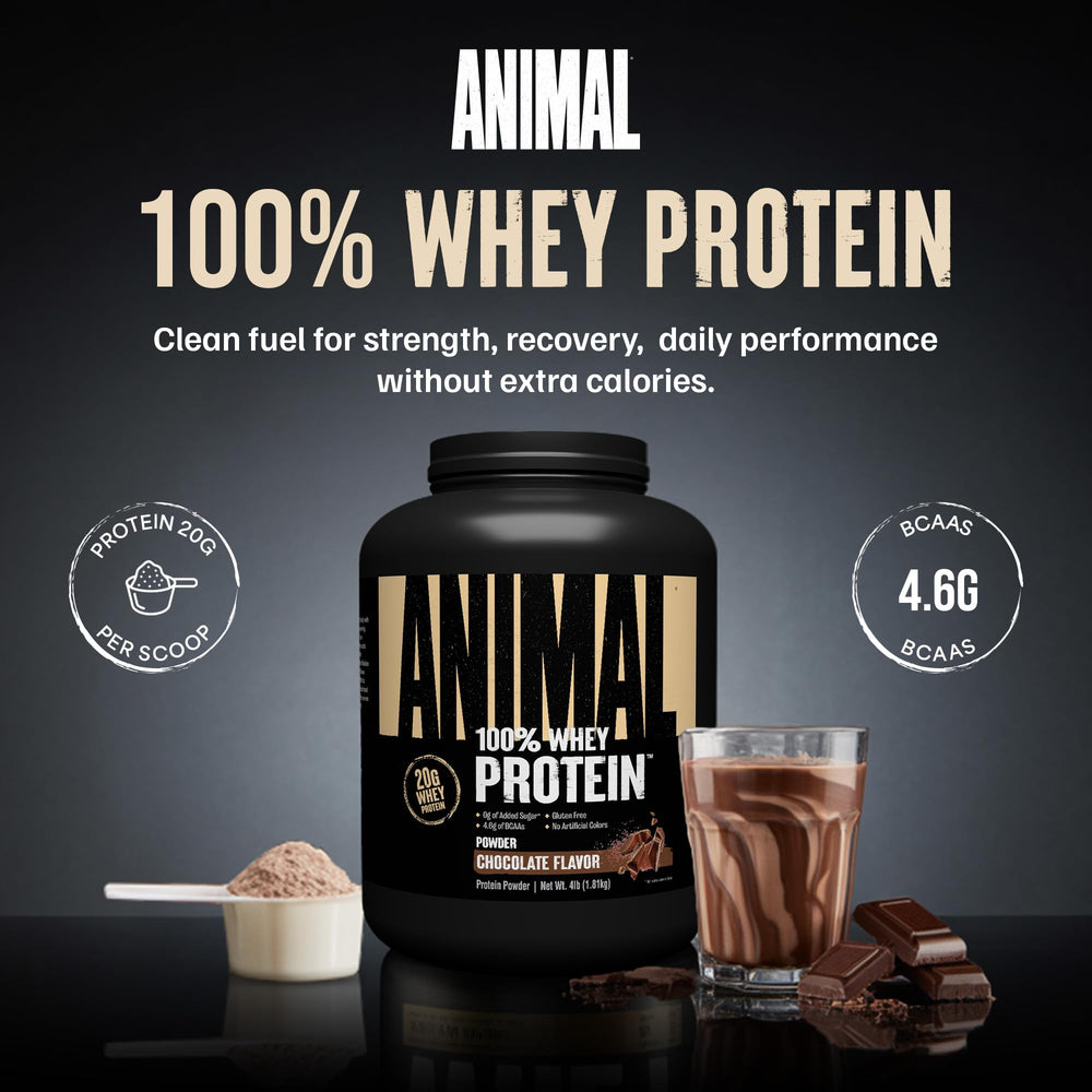 Animal 100% Whey scoop displaying measuring scoop for quick protein boosts