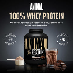 Animal 100% Whey scoop displaying measuring scoop for quick protein boosts